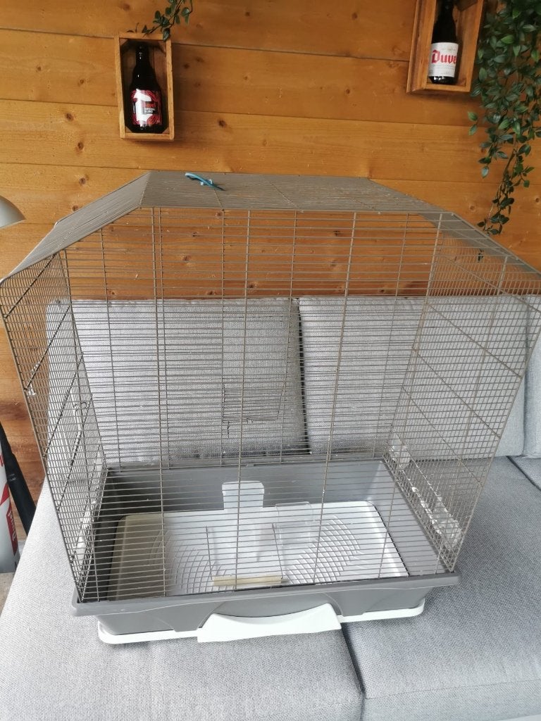 Vogelkooi, Enlèvement, Utilisé, Métal, Cage à oiseaux