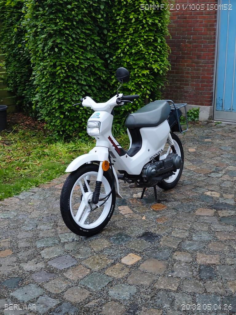 Honda wallaroo B-klasse/Ruilen, Motoren, Ophalen, Honda