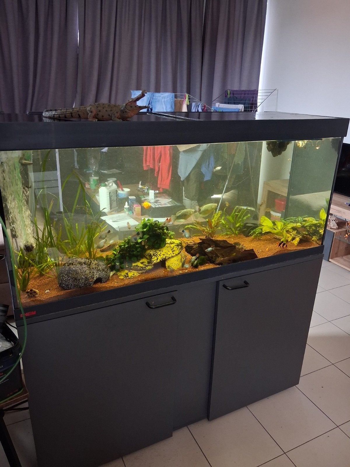 aquarium 240liter 120cm, Dieren en Toebehoren, Ophalen, Gebruikt, Aquariummeubel, Inclusief vissen