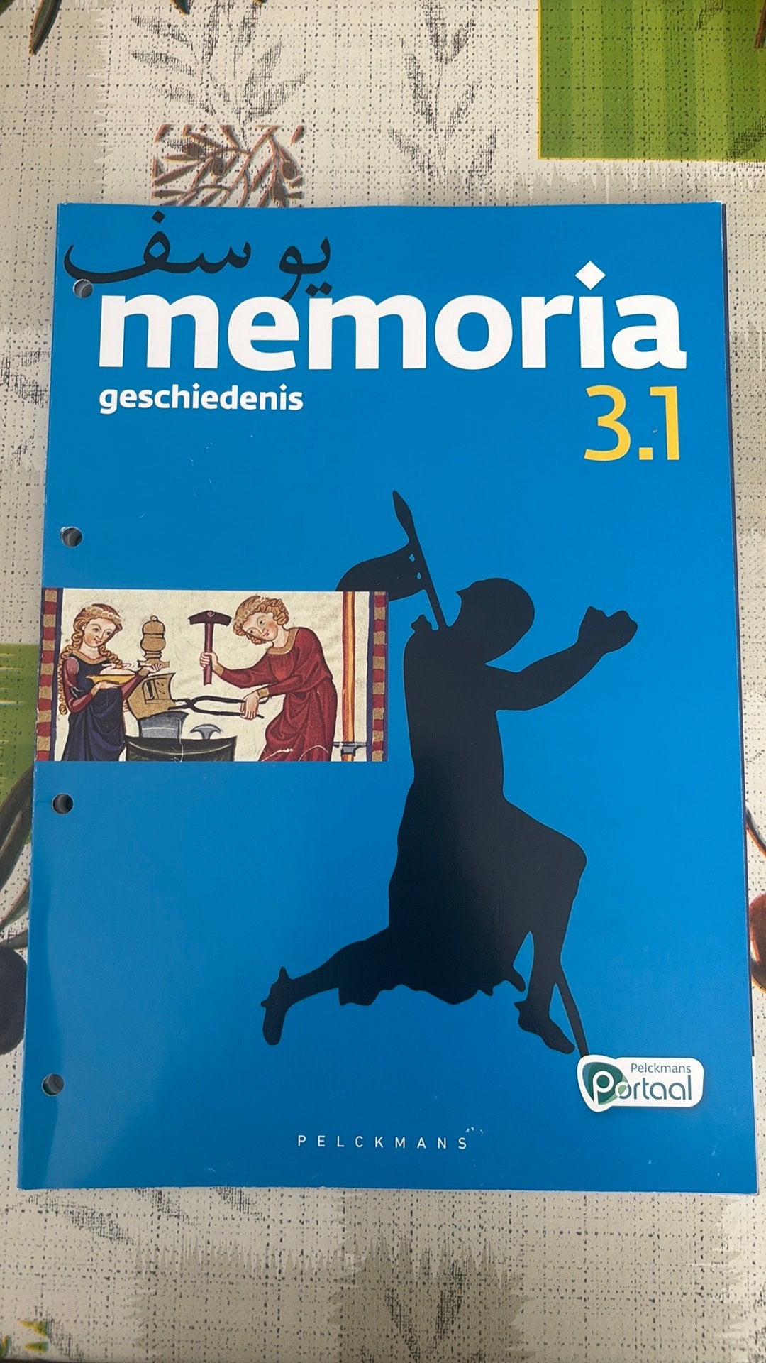 Memoria 3.1 Leerwerkboek (incl. Historische verhalen en Pelc, Boeken, Ophalen of Verzenden, Nederlands