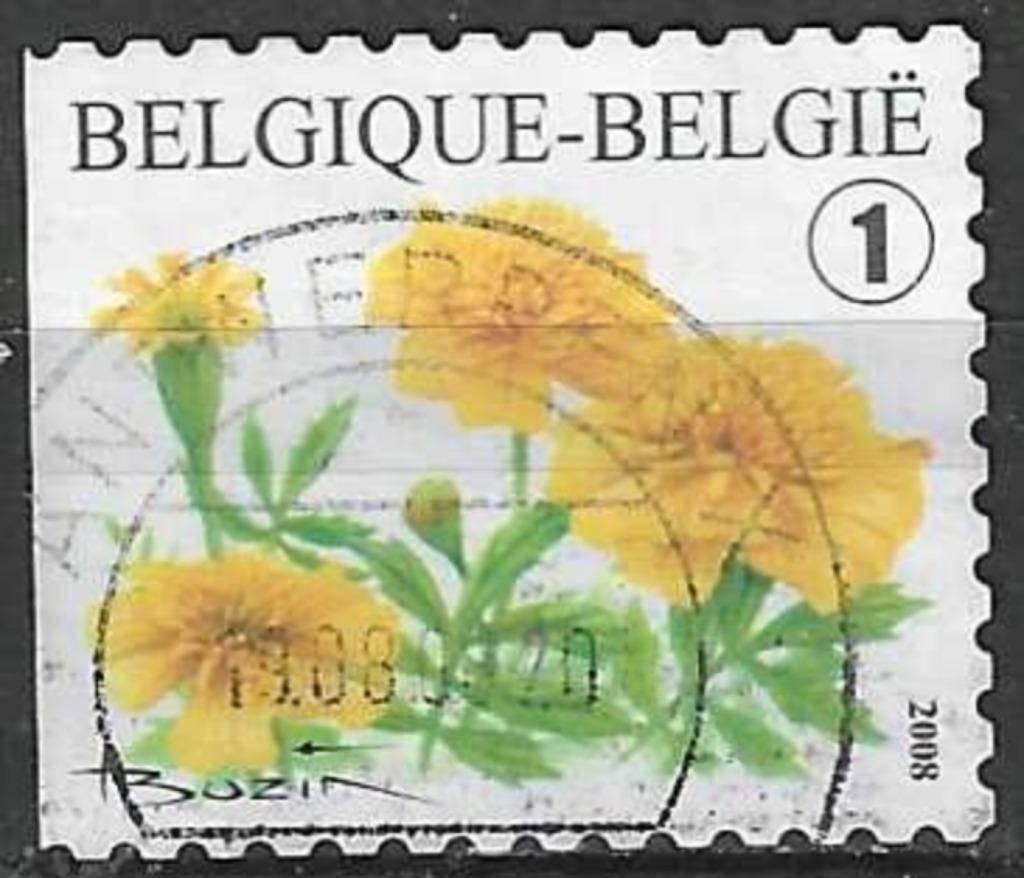 Belgie 2008 - Yvert 3767 /OBP 3785 - Afrikaantje (ST), Postzegels en Munten, Postzegels | Europa | België, Verzenden, Gestempeld