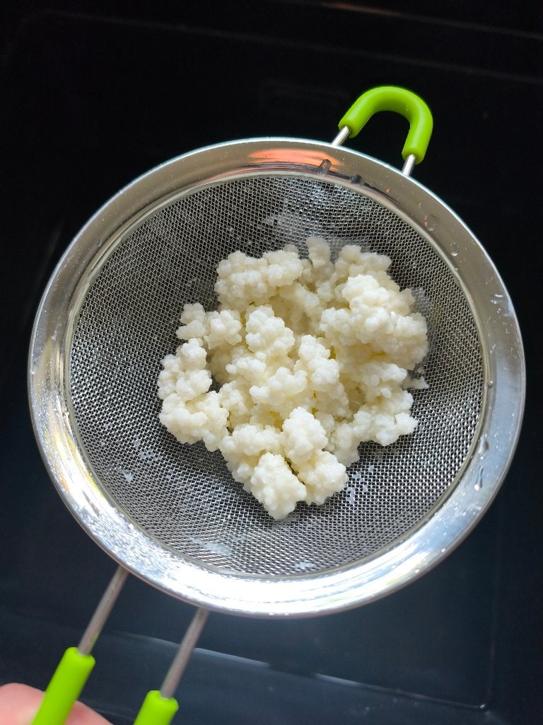 Melk kefir korrels, Ophalen of Verzenden