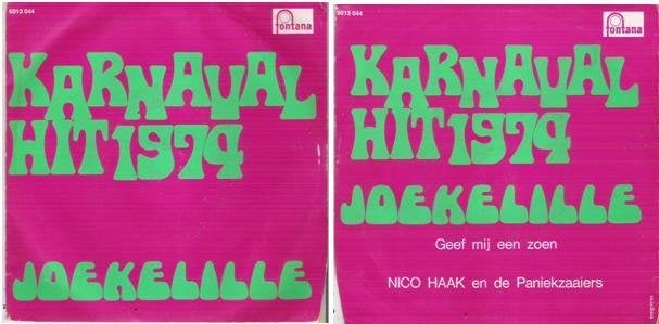 †NICO HAAK EN DE PANIEKZAAIERS: "Joekelille", Cd's en Dvd's, Fotohoes, Ophalen of Verzenden
