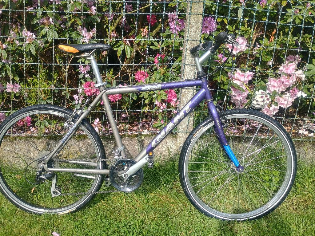 Giant Boulder Retro cruiser MTB, Fietsen en Brommers, 49 tot 53 cm, Ophalen, Gebruikt, Giant