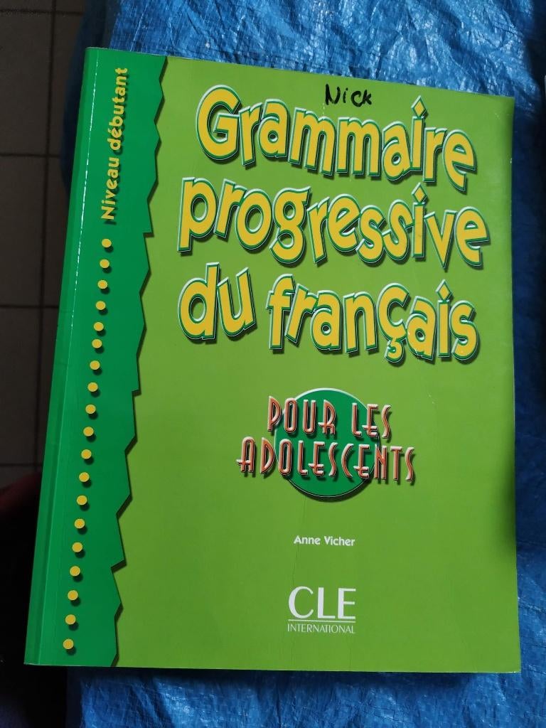 leerboek om frans te leren, Boeken, Ophalen of Verzenden