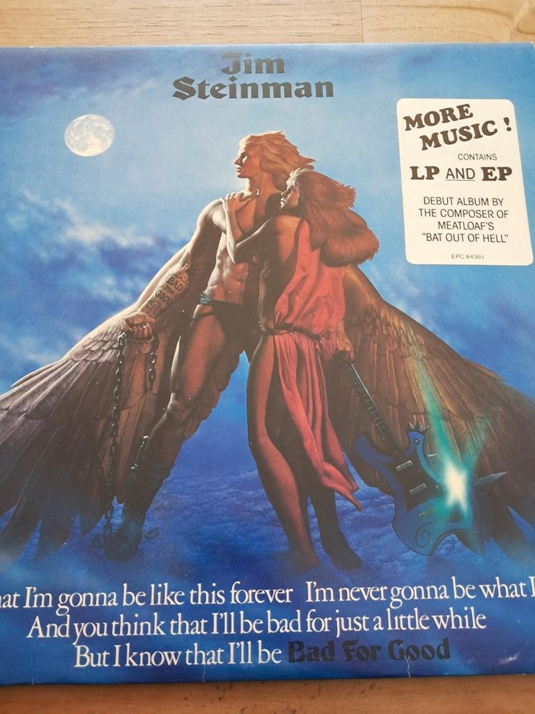 Lp Jim Steinman, Gebruikt, 12 inch, Poprock, Fotohoes