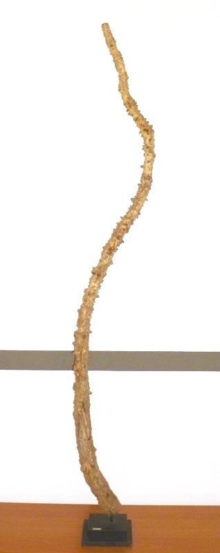 Branche de bois flotté - sculpture naturelle, Sur socle, Bois, Abstrait, Autres types