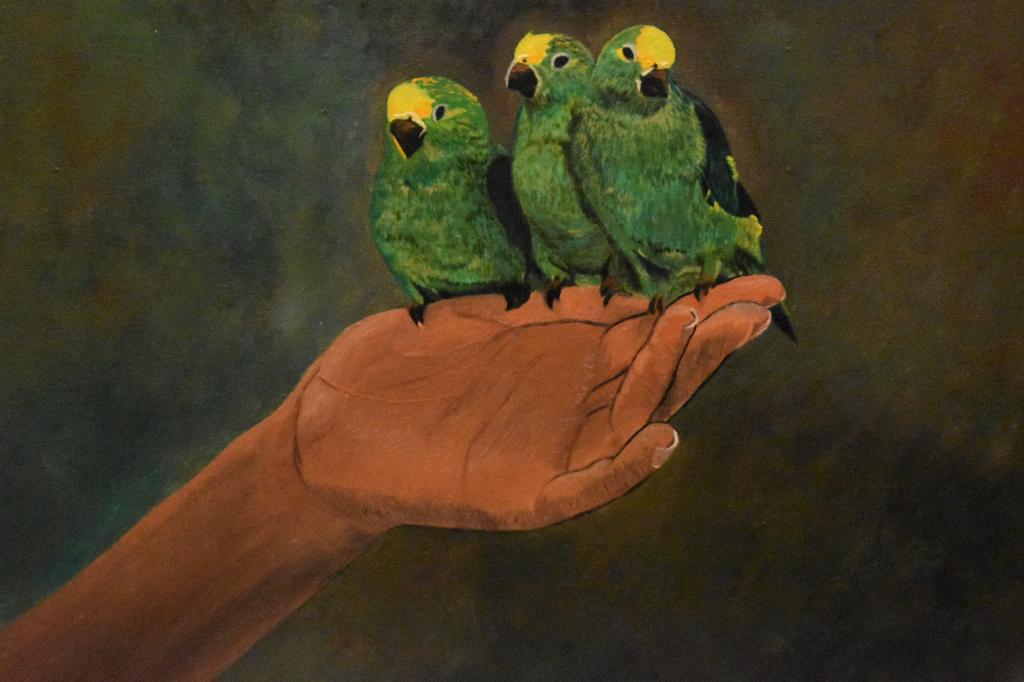Peinture Perruches, par joky kamo 2002, Antiquités & Art, Art | Peinture | Moderne, Enlèvement, Peinture à l'huile, Animaux