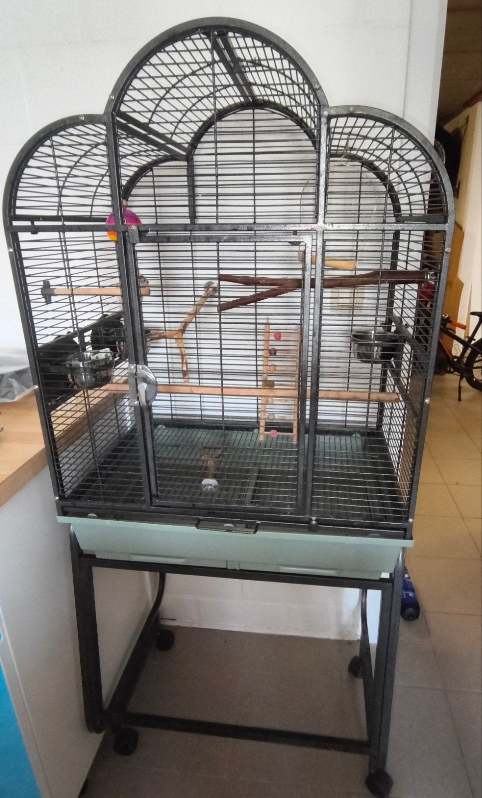 Grote degelijke vogelkooi, Dieren en Toebehoren, Ophalen, Vogelkooi