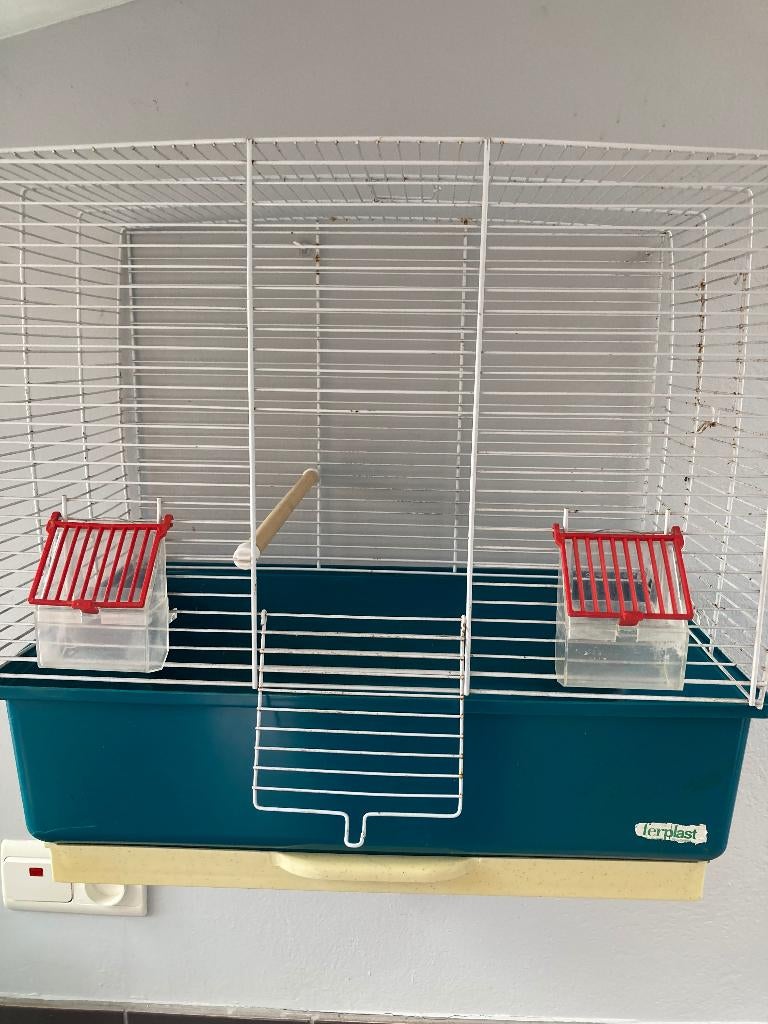 Cage oiseaux, Ophalen, Gebruikt, Vogelkooi