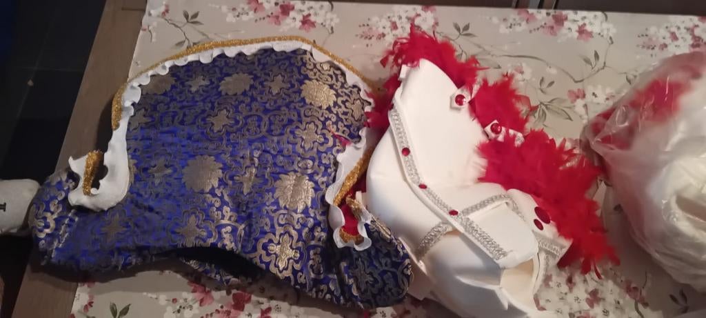Carnaval kleding, Ophalen, Gebruikt, Jongen of Meisje