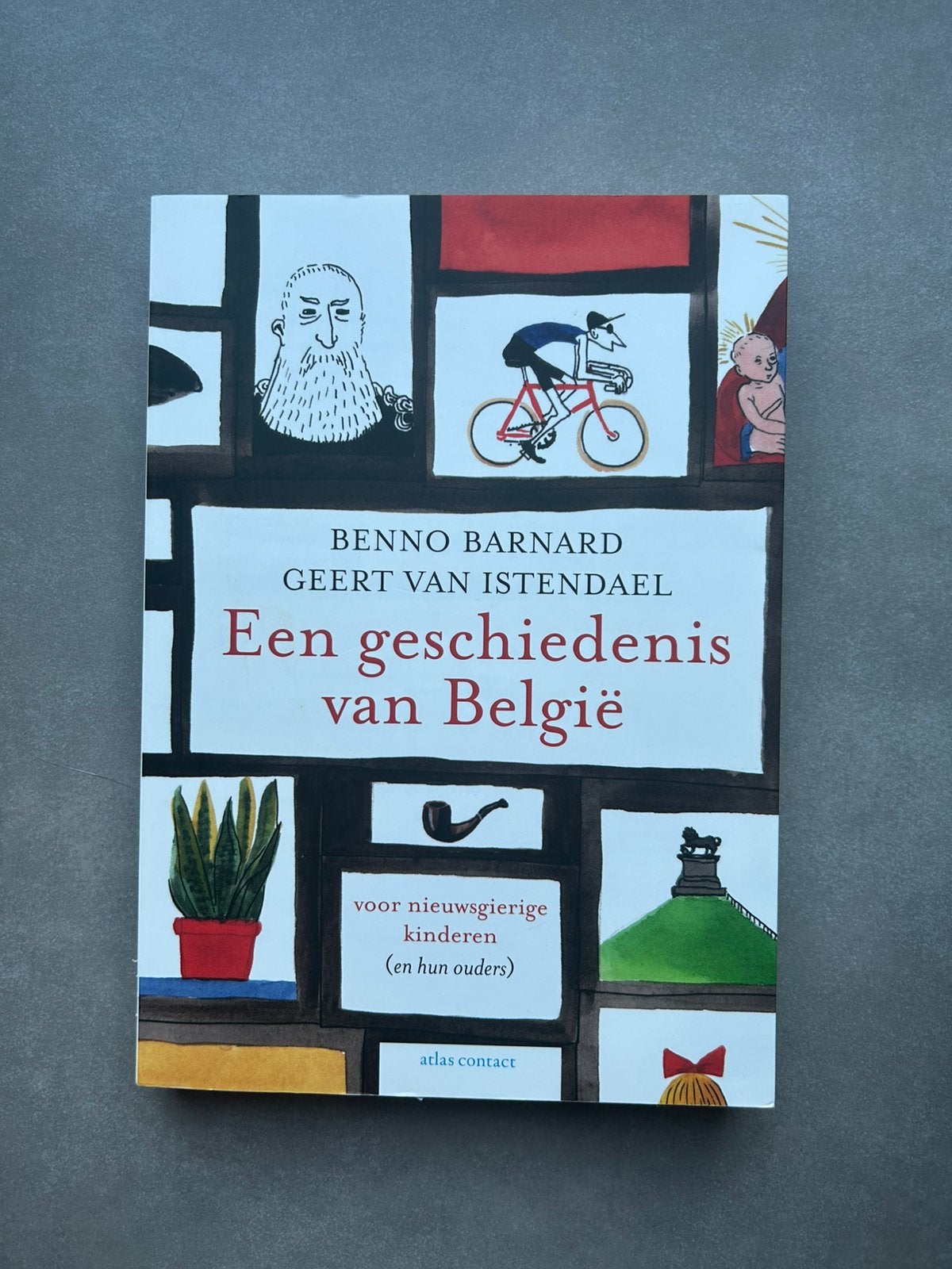 Boek “Een geschiedenis van België”, Enlèvement ou Envoi, Comme neuf, Enseignement supérieur professionnel