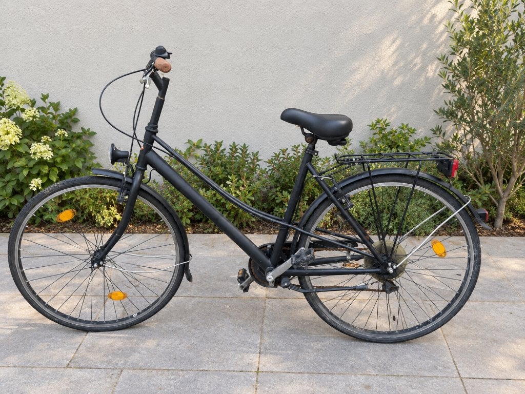 Grote stadsfiets / damesfiets – opknapper – spotprijs, Fietsen en Brommers, Ophalen