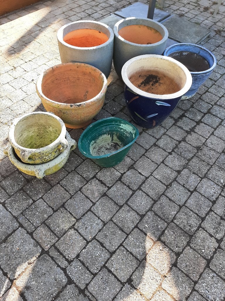 PLANTENPOTTEN, Ophalen, Gebruikt, Tuin