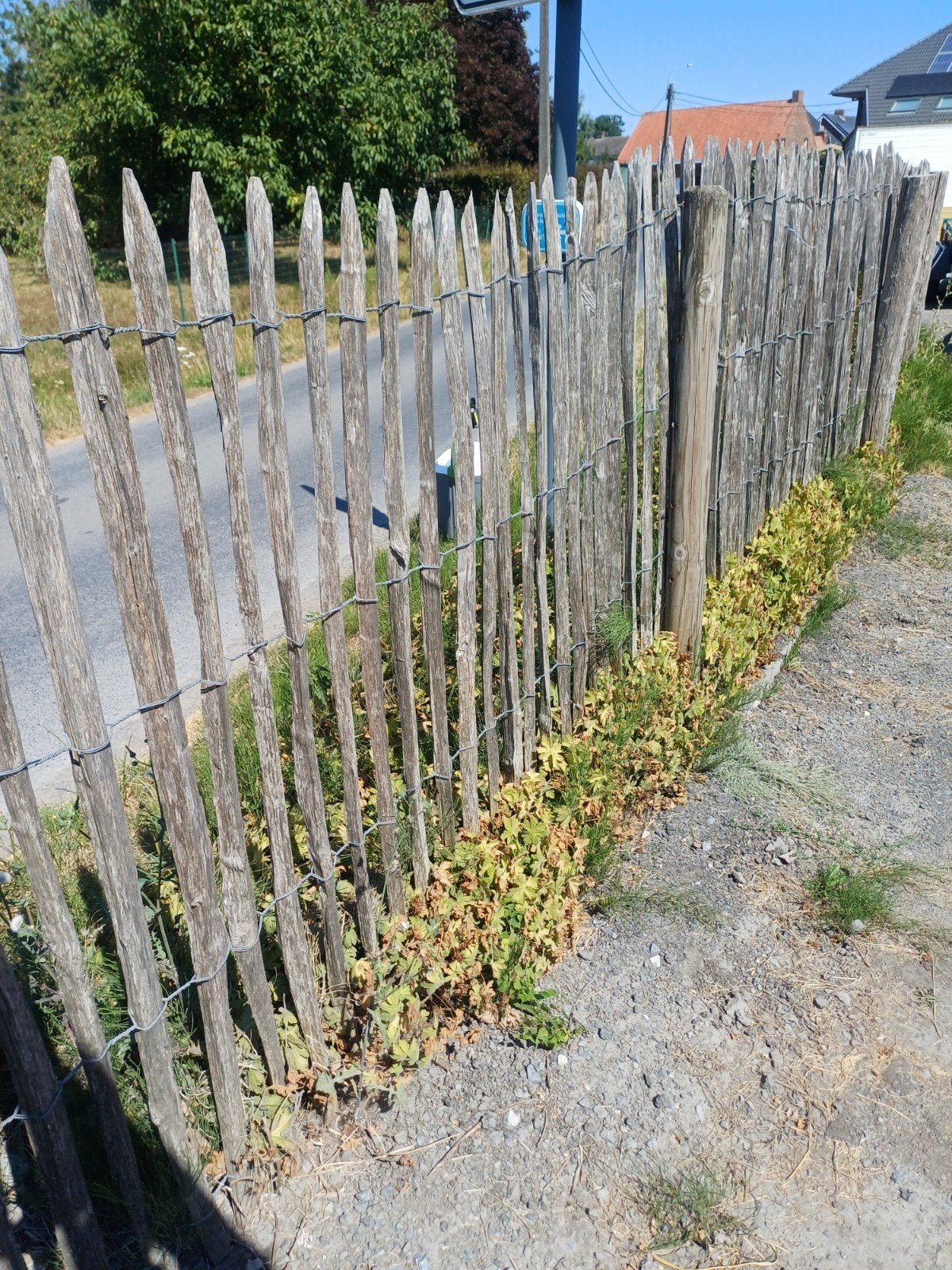 30 m kastanje afsluiting, Tuin en Terras, Ophalen, Gebruikt, Hout, 1 tot 2 meter