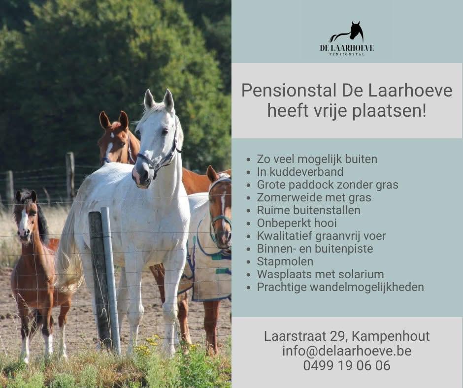 Volpension stal vrij, Dieren en Toebehoren