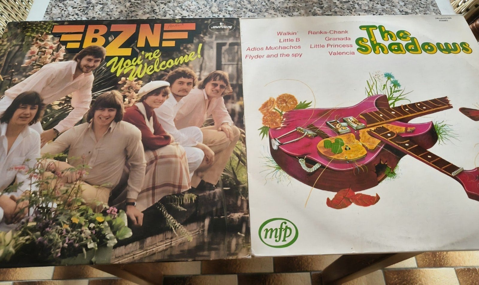 LP te koop BZN en The Shadows
Goede staat
2 euro per LP, CD & DVD, Vinyles | Musique du monde, Enlèvement, Utilisé, Autres formats