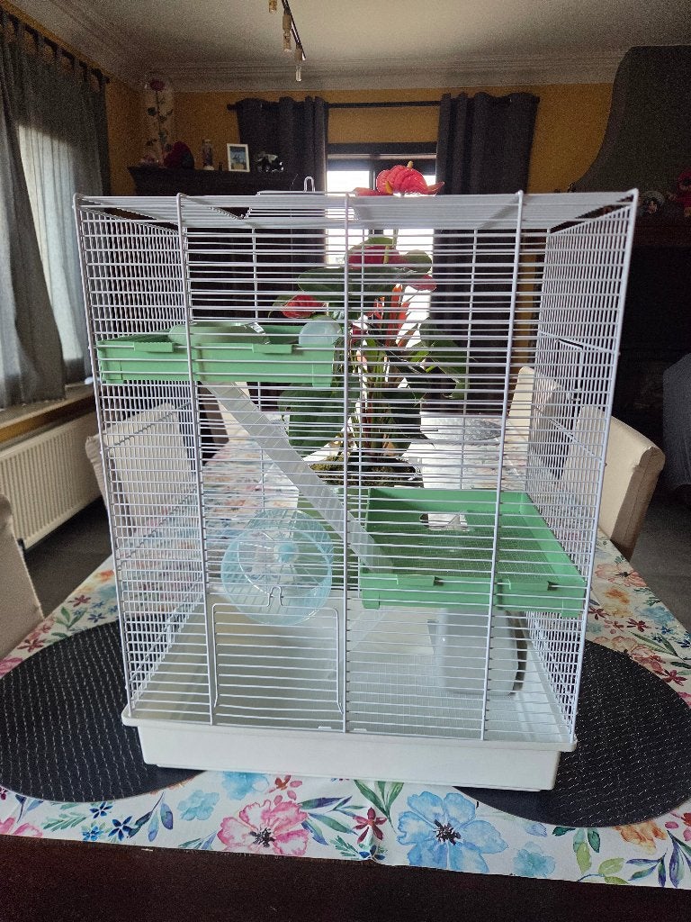 Mooie en grote kooi op 3 verdiepingen nieuw, Dieren en Toebehoren, Ophalen, Kooi, 60 tot 90 cm, Muis