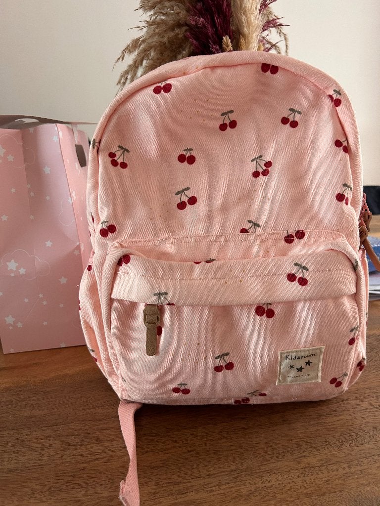 Rugzak, Handtassen en Accessoires, Overige merken, 25 tot 40 cm, Ophalen of Verzenden, Zo goed als nieuw