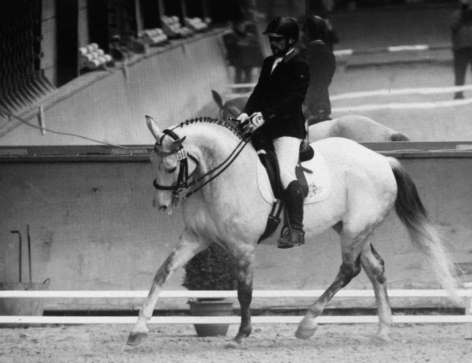 Jument de dressage de 19 ans, Enlèvement ou Envoi, Utilisé