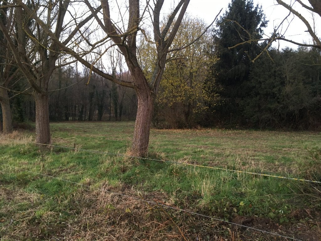 Landbouwgrond 5000m2 Kampenhout, Immo, Kampenhout, Verkoop zonder makelaar, 1500 m² of meer