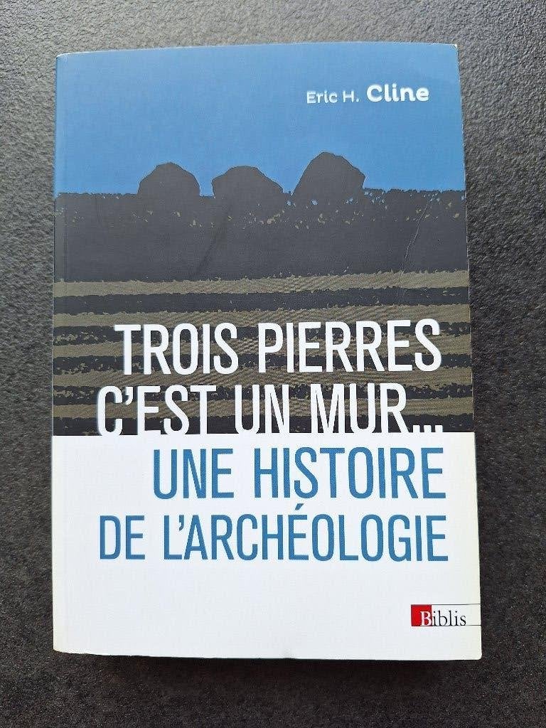 Trois pierres c'est un mur , une histoire de l'archéologie, Comme neuf, Eric H. Cline, Enlèvement, Autres sciences