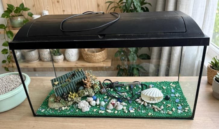 vis + aquarium, Dieren en Toebehoren, Ophalen