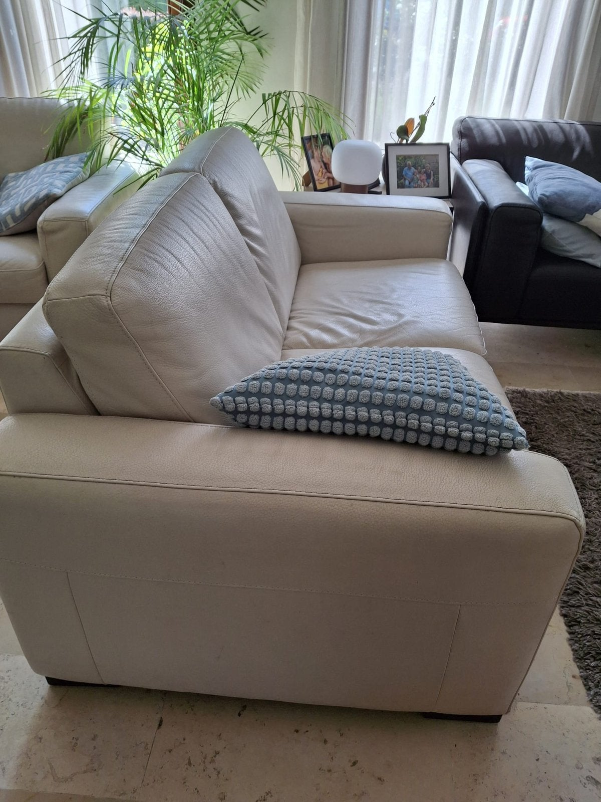 Salon leder, Ophalen, Gebruikt, Leer, Modern