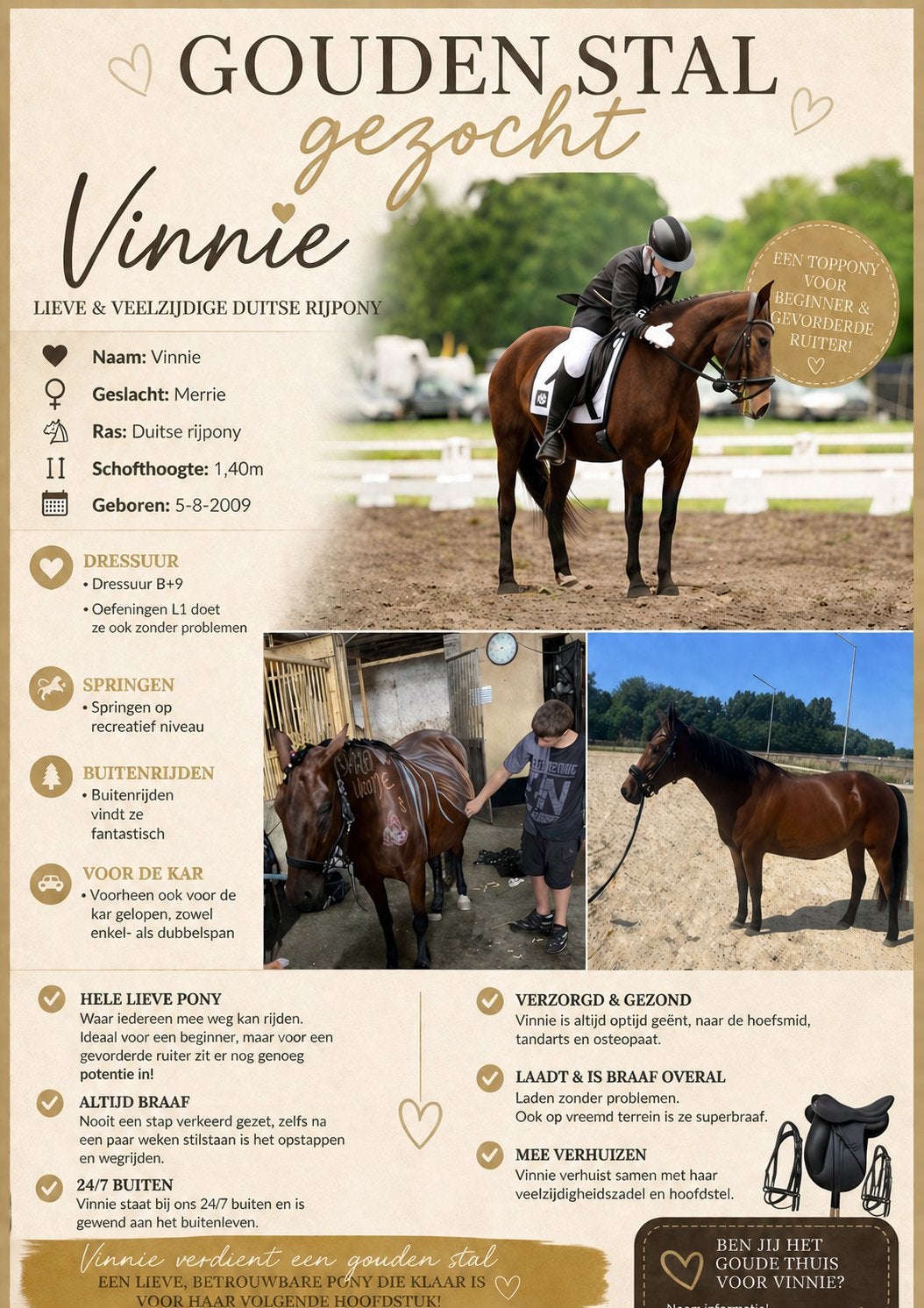 Lieve 16 jarige d pony