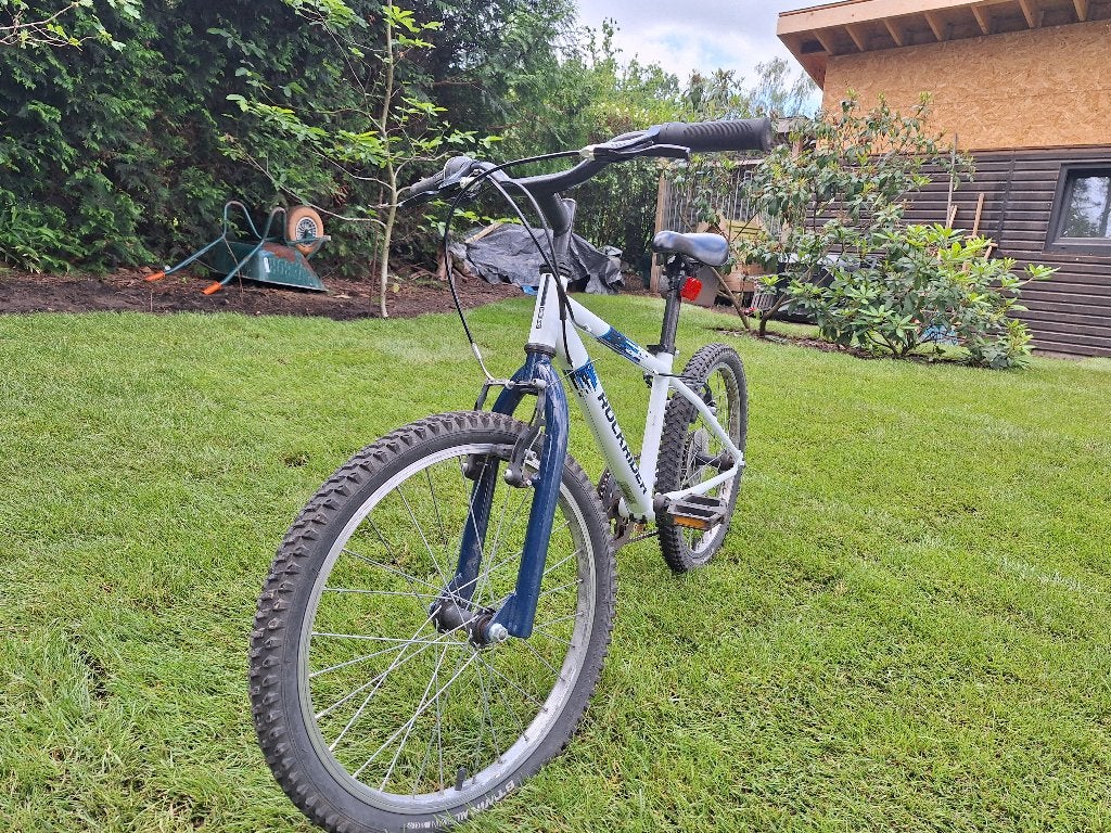 Set Rockrider 100 pour enfants, Vélos & Vélomoteurs, Vélos | Vélos pour enfant, Utilisé, 16 à 20 pouces, Frein sur jante, Enlèvement