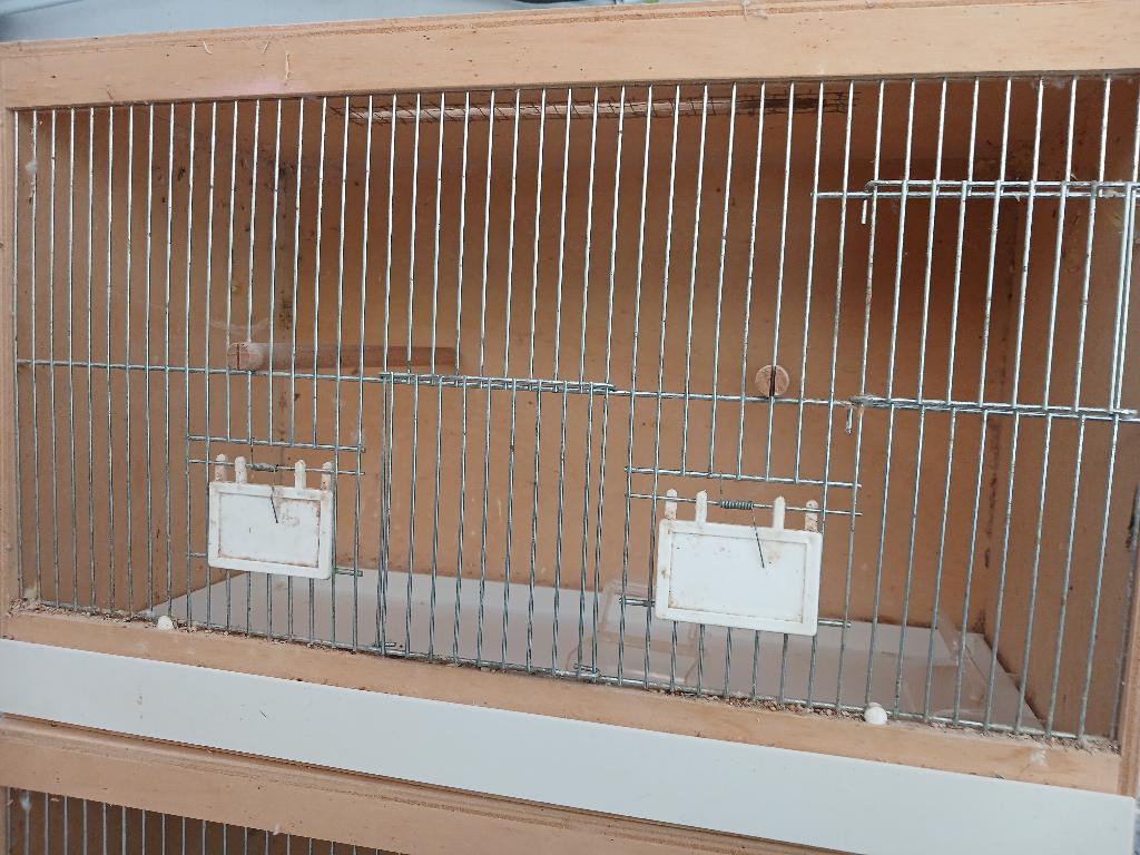 Vogel kooitje, Ophalen, Gebruikt, Hout, Broedkooi of Kweekkooi