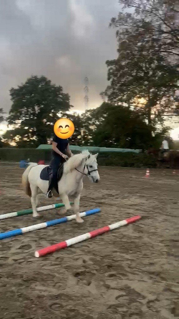 palomino C pony, Animaux & Accessoires, Hongre, Poney C (1.27 m à 1.37m), Poney de dressage, 7 à 10 ans