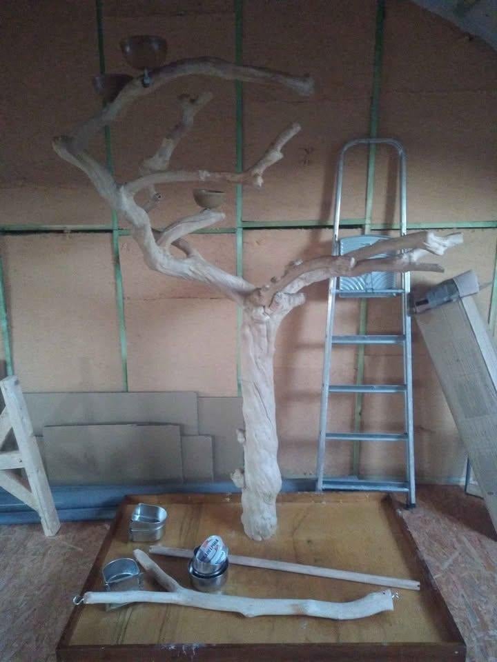Arbre de Java 180cm, Enlèvement, Comme neuf, Autres types