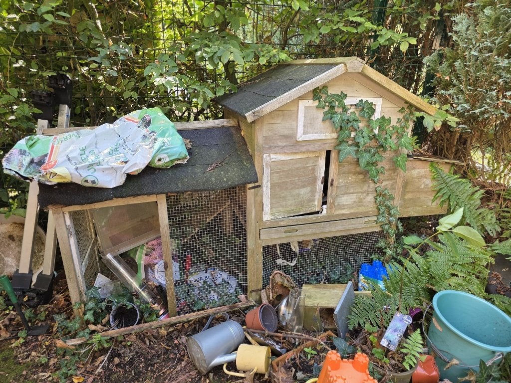 Poulailler à donner, Animaux & Accessoires, Enlèvement, Utilisé, Bois, Autres types