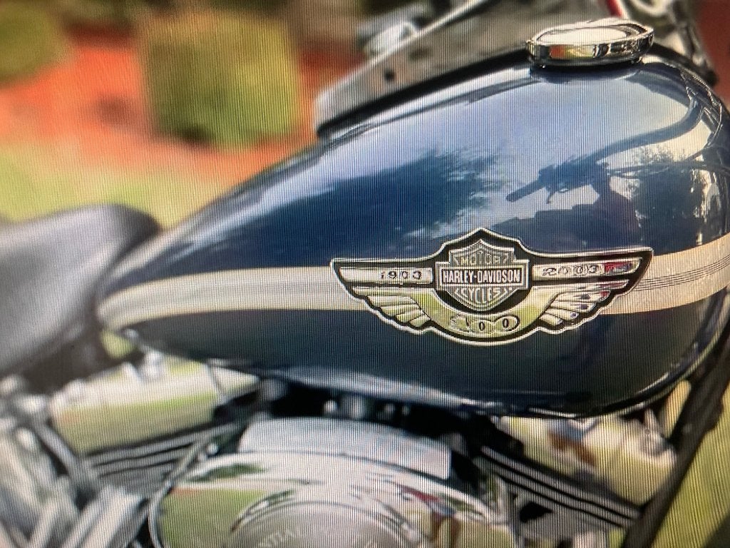 100e anniversaire de la Harley Davidson Softail, Chopper, 1450 cm³, Neuf, Particulier