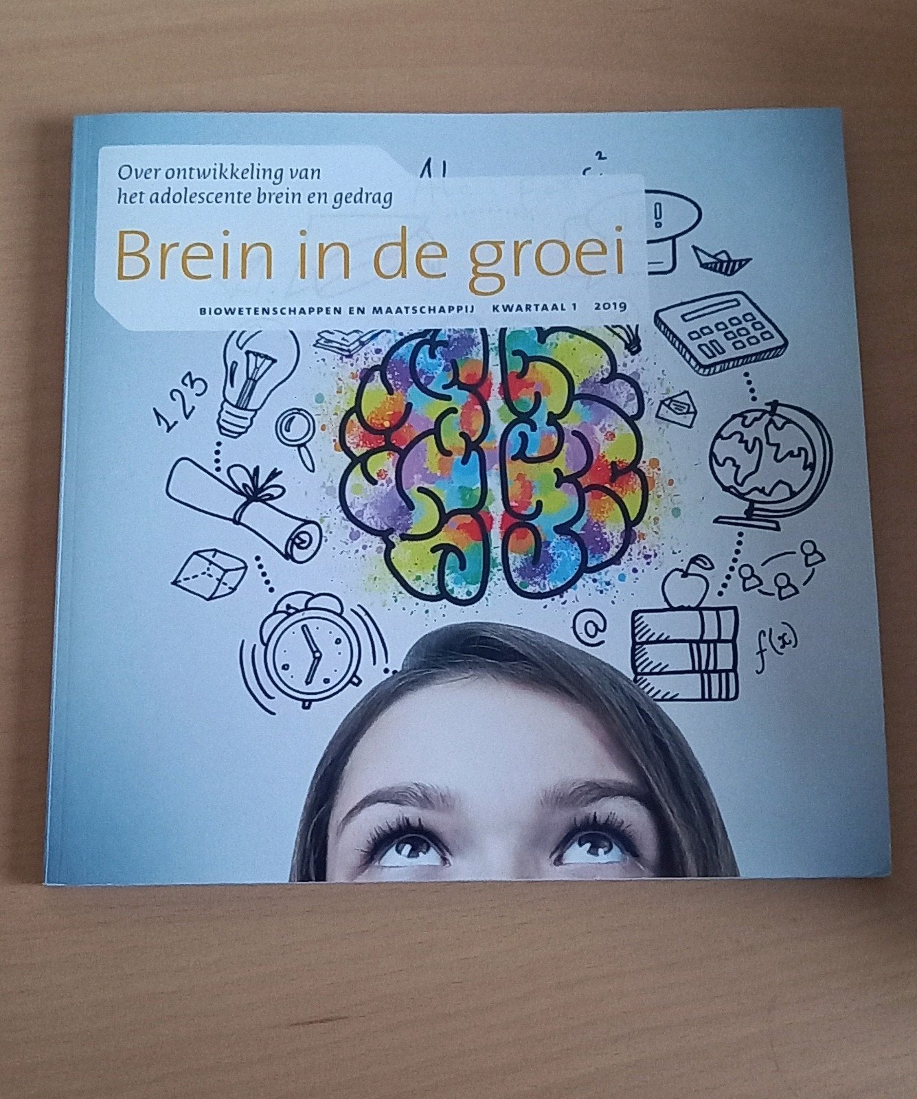 Sabine Peters - Brein in de groei, Ophalen of Verzenden, Nederlands, Sabine Peters; Annelinde Vandenbroucke; Katy de Kogel