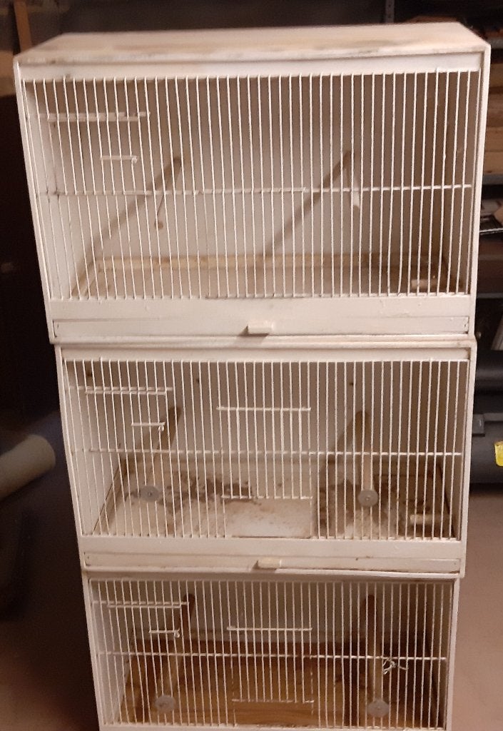 vogelkooien, Ophalen, Gebruikt, Hout, Broedkooi of Kweekkooi