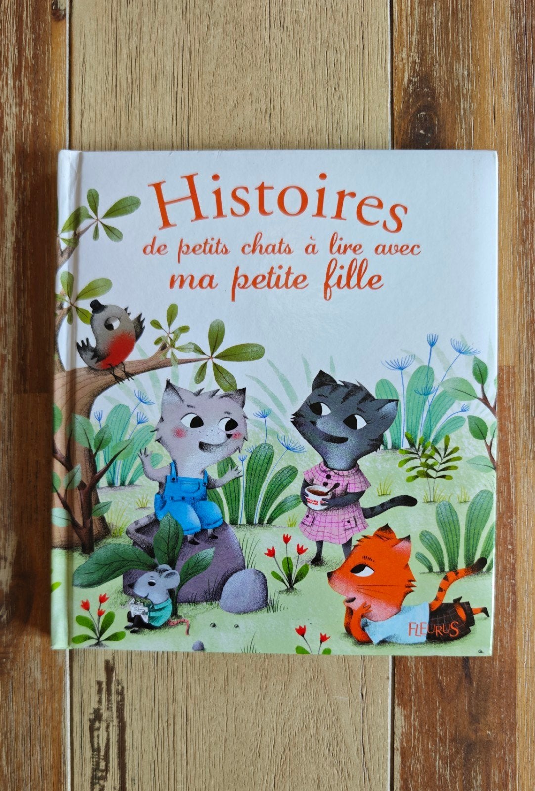 Histoires de petits chats à lire avec ma petite fille, Ophalen of Verzenden, Zo goed als nieuw