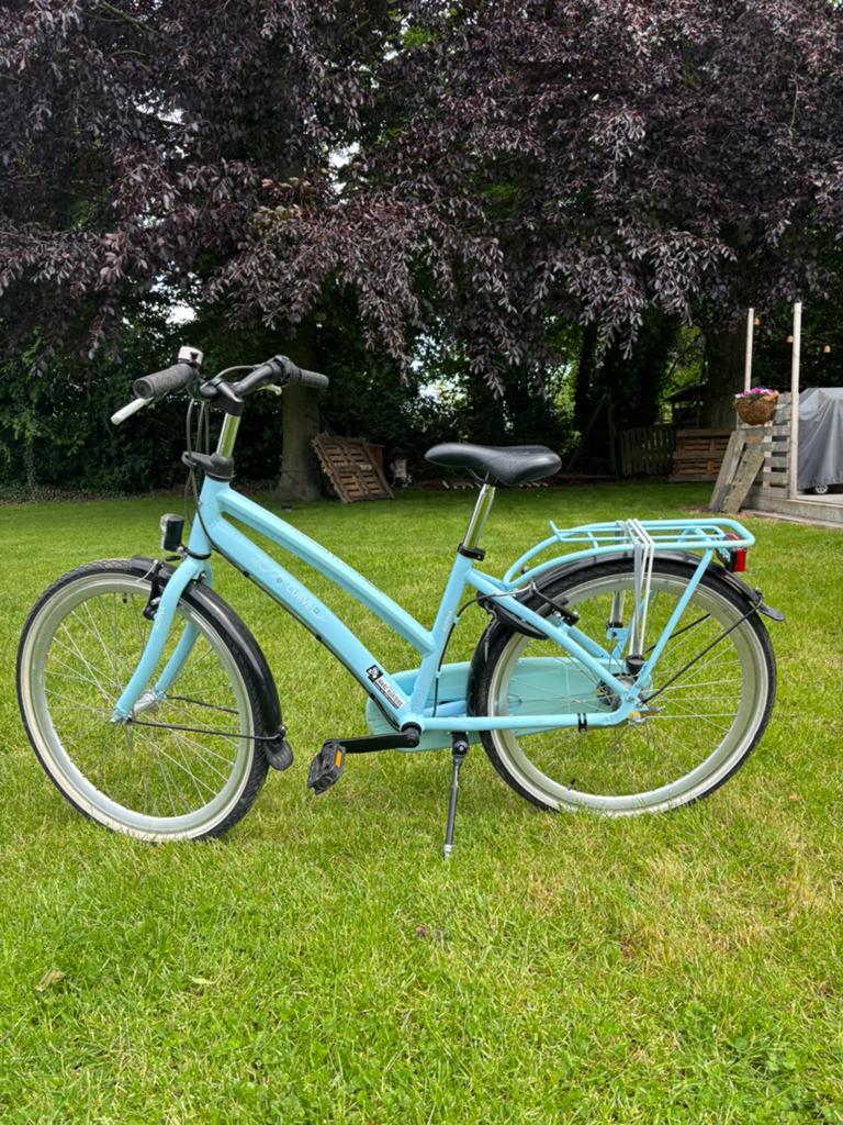24 inch Mooie alpina curve meisjesfiets., Ophalen, Zo goed als nieuw, 24 inch, Versnellingen
