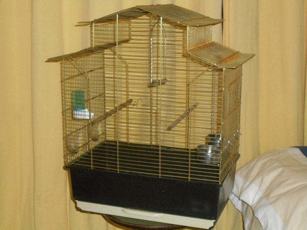 cage oiseaux a 45 euros, Enlèvement, Comme neuf