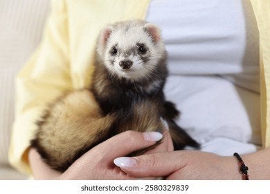 ik zoek hand tam fretje, Animaux & Accessoires, Rongeurs, Mâle, Domestique, Autres types, Mai