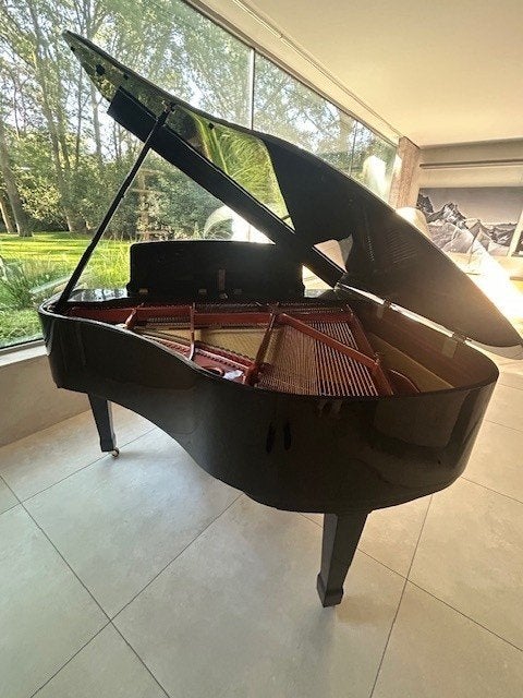 Doutrelline Crapaud I, Musique & Instruments, Pianos, Neuf, Brillant, Enlèvement, À queue