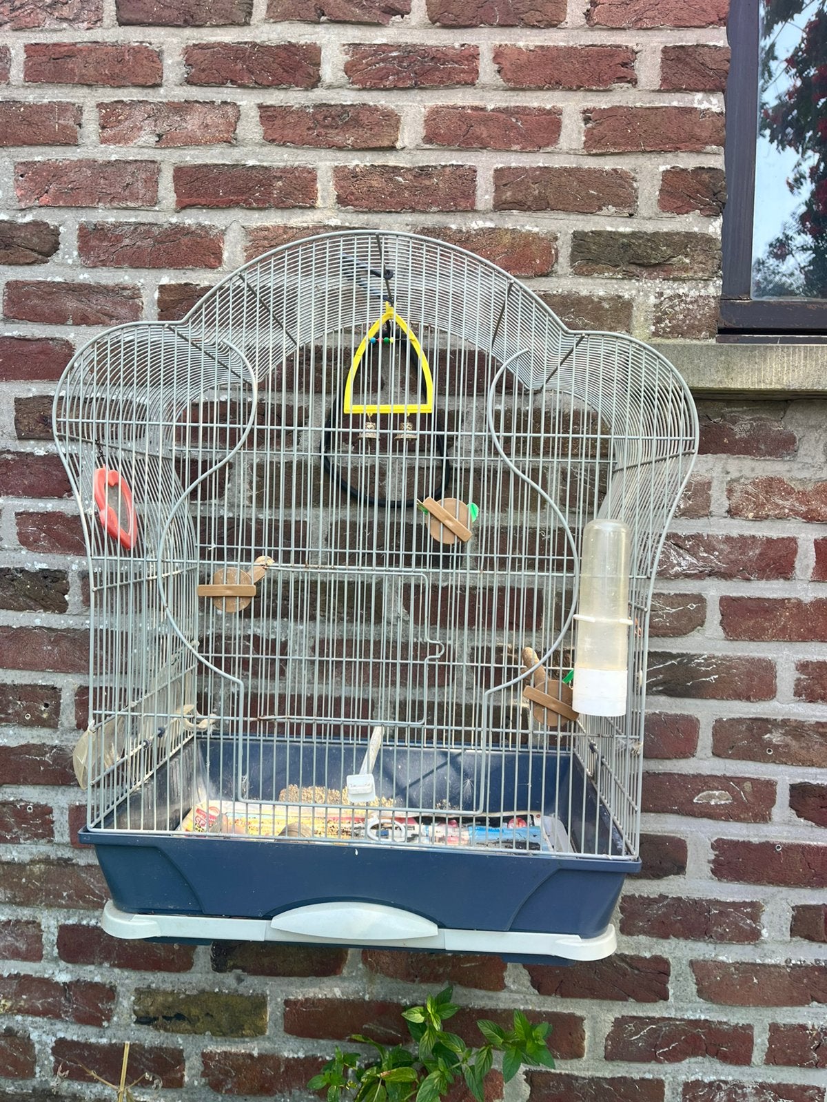 Vogelkooi, Dieren en Toebehoren, Vogels | Hokken en Kooien, Ophalen, Gebruikt, Vogelkooi