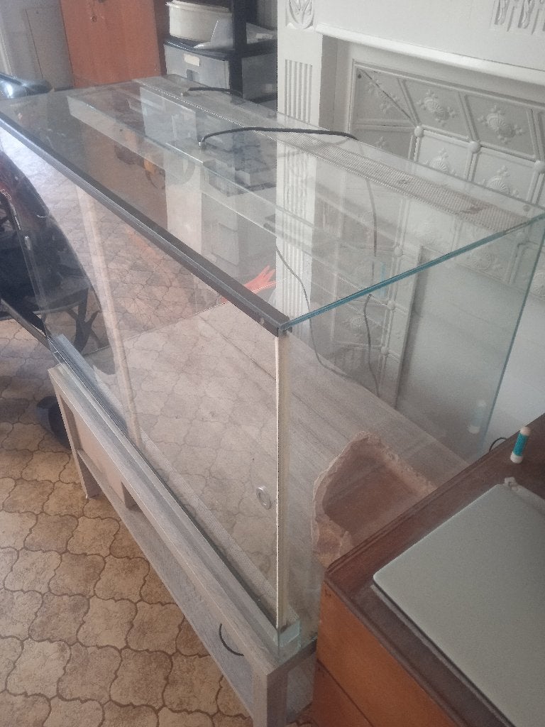 Terrarium moyen, Dieren en Toebehoren, Ophalen, Nieuw, Terrarium of Paludarium