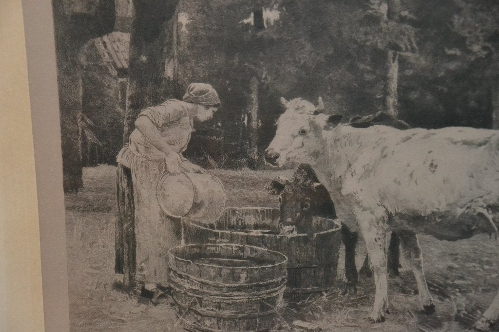 œuvre d'art avec vache, Antiquités & Art, Autres techniques, Enlèvement, Animaux, Sous verre