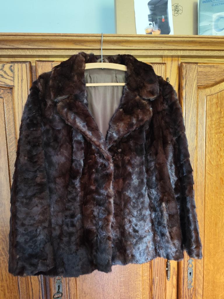 Bruine nerts jas, Kleding | Dames, Ophalen, Bruin