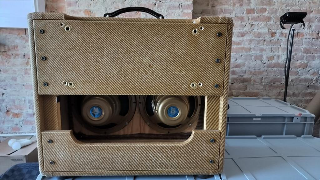 Combo cab met 2x Celestion gold 10", Muziek en Instrumenten, Ophalen, Gebruikt, Gitaar, 50 tot 100 watt