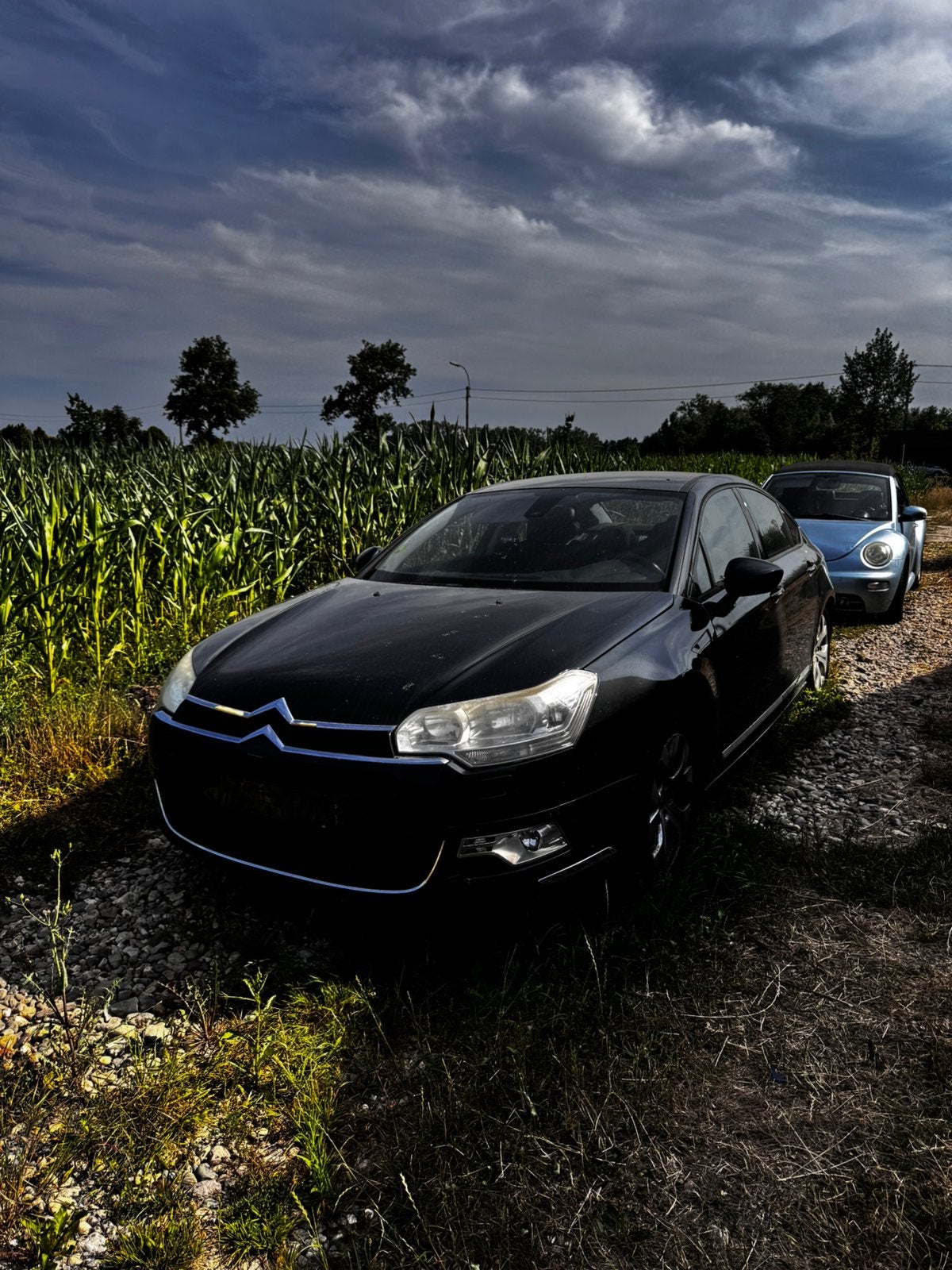 citroen c5, Auto's, Particulier, Te koop, C5