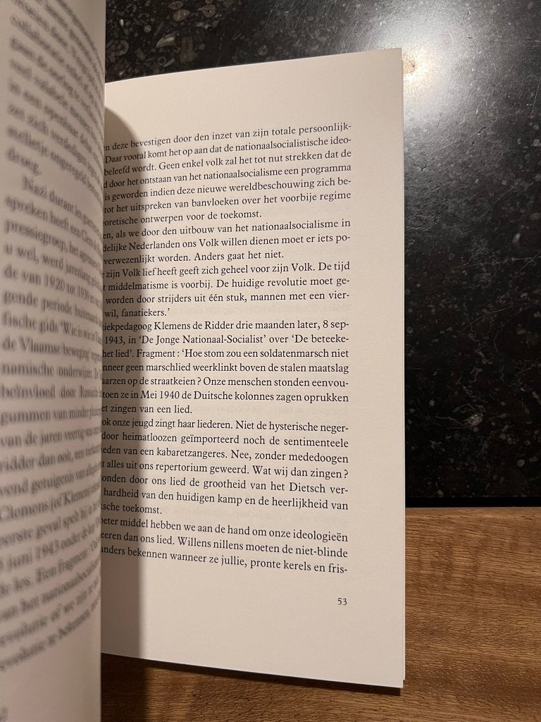 Het Belgisch Domdenken, smaadschrift - Johan Anthierens, Gelezen, Ophalen of Verzenden, Verhalen, Johan Anthierens