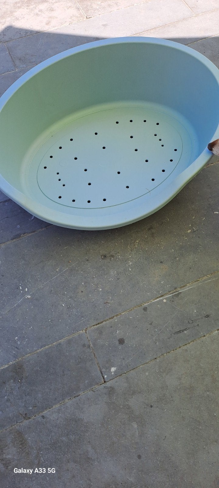 panier chien, Enlèvement